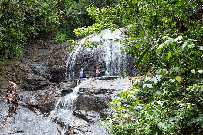 Rainforest Hike and Waterfall Safari - Key things I think you should notice