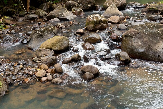 Rainforest Hike and Waterfall Safari - Guides Like Lulu, Dee, and Crystal: Why Personality Matters Here