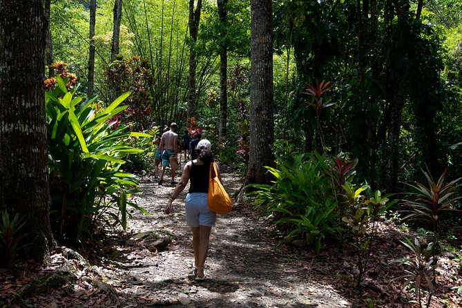 Rainforest Hike and Waterfall Safari - Price and Value: Why $66.67 Can Make Sense
