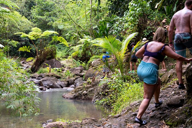 Rainforest Hike and Waterfall Safari - Fruit Plantation Stop: More Than a Snack Break