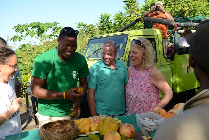 Rainforest Hike & Waterfall Safari St. Lucia From Castries - A Half-Day Safari That Starts in Castries and Gets to the Wild Parts