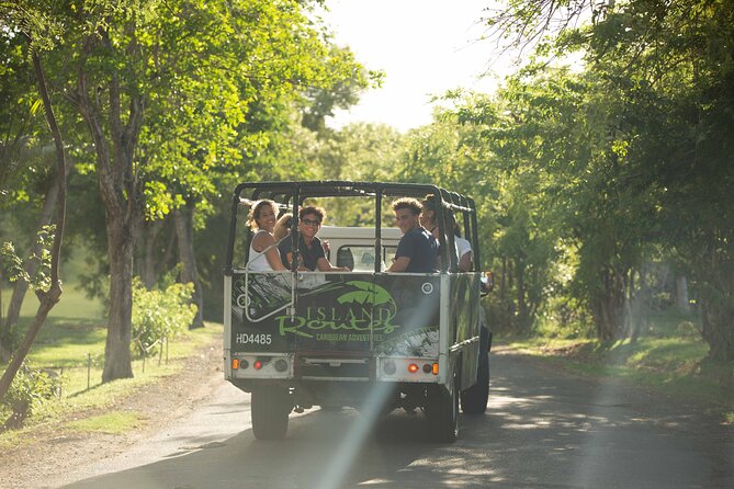Rainforest Hike & Waterfall Safari St. Lucia From Castries - Price and Value: Is $100 a Good Deal from Castries?