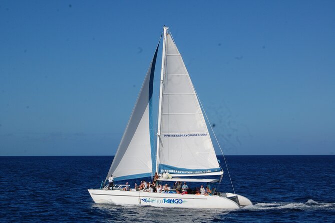 Rodney Bay to Soufriere Catamaran Transfer - Onboard refreshments and snacks, and why it affects your whole day