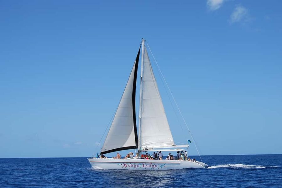 Romantic Caribbean Sunset Cruise - On Board the Catamaran: Drinks, Food, and Music That Actually Keeps Going