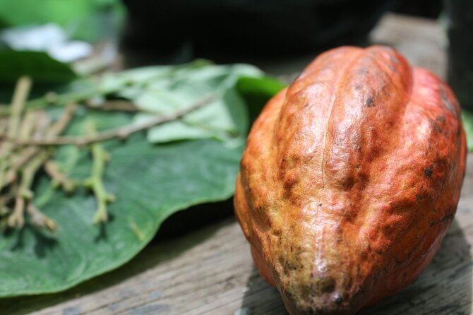 Rum & Chocolate Tasting Tour : Journey into Flavor - Key Highlights You Actually Feel During the Tour
