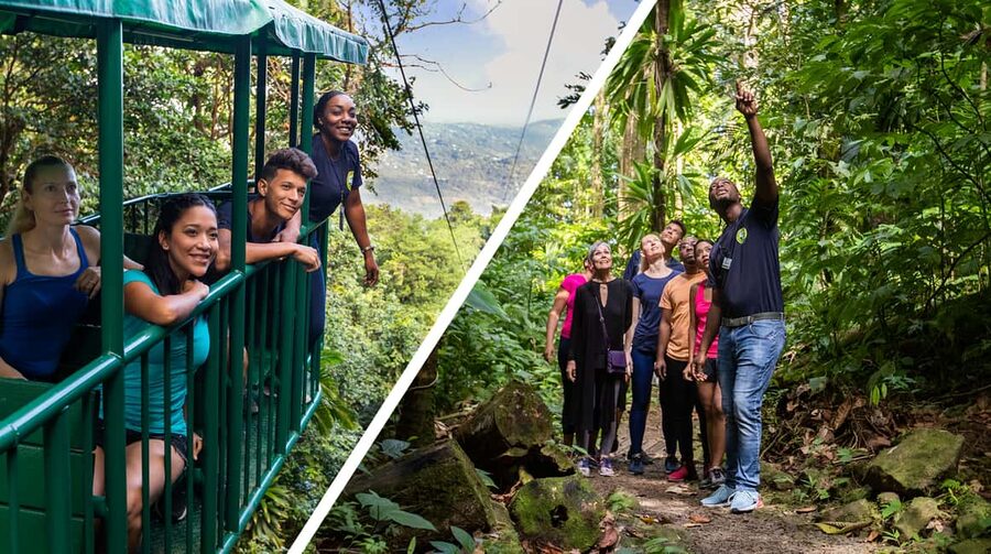 Saint Lucia: Aerial Tram Tour at Rainforest Adventures - Key things to know before you go