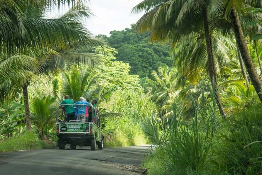 Saint Lucia: Soufriere Volcano Experience - Key highlights at a glance