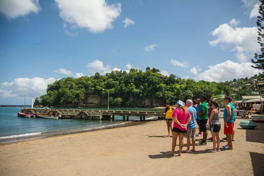 Saint Lucia: Soufriere Volcano Experience - Sulphur Springs mud baths: The main event, smell included