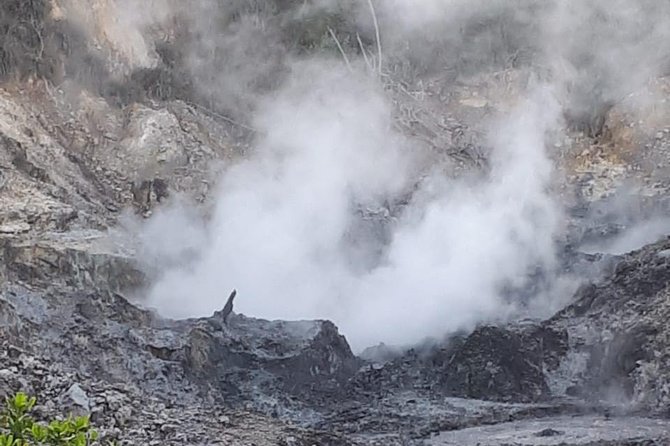 Saint Lucia Sulphur Springs Rejuvenating Mud Bath Tour - Guides matter here, and the best ones help you time it right