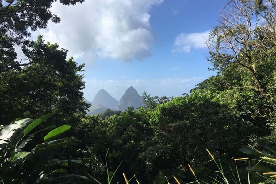 Saint Lucia: Tet Paul Nature Trail Hiking Tour & Beach - Tet Paul Nature Trail: A 45-Minute Walk With Real View Power