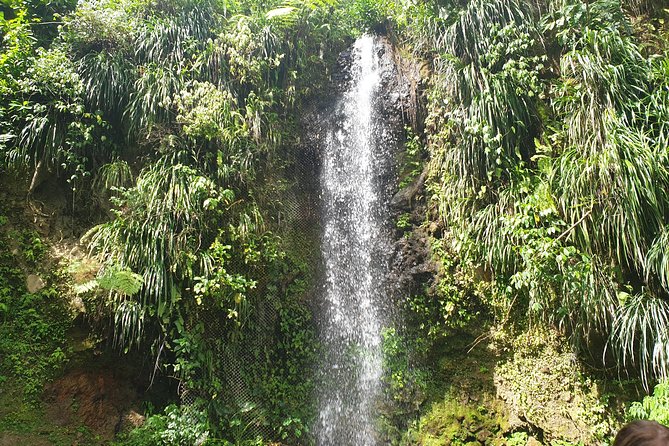 Scenic Tour of Soufriere - La Soufriere drive-in volcano, sulphur steam you can feel
