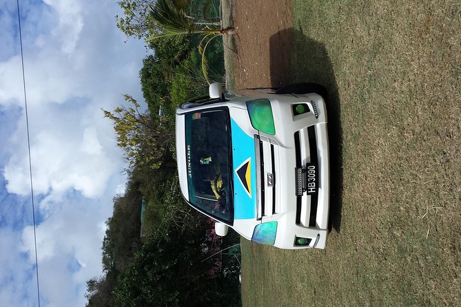 Scenic Tour of Soufriere - Canaries and fresh Creole bread, the stop that turns the day human