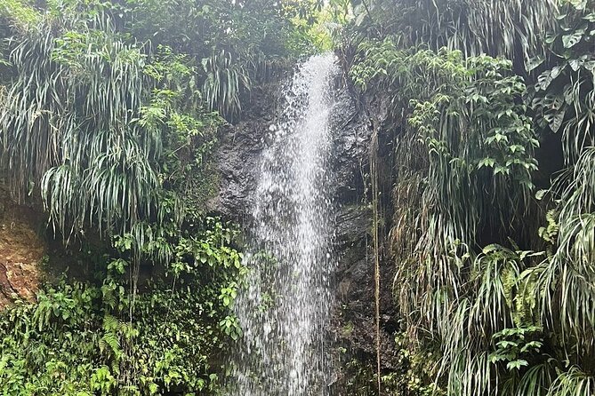 Sea and Land Tour in St. Lucia - Pitons from the water: the western coastline cruise start