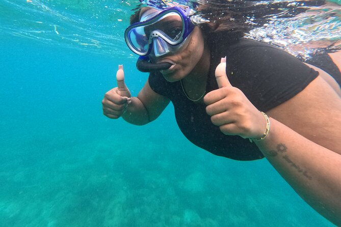 Snorkeling at Pigeon Island - Pigeon Island National Park: the smart, easy place to snorkel