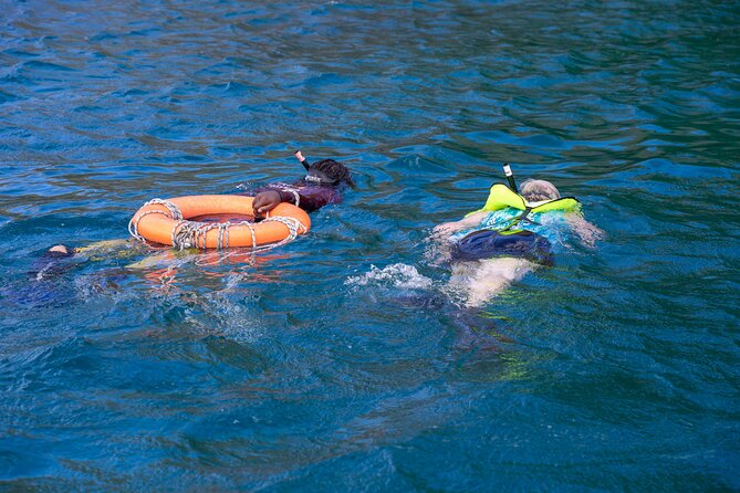 Snorkeling at Pigeon Island - Shore snorkeling: what your eyes are actually hunting for