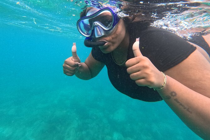 Snorkeling at Pigeon Island - Who this snorkel tour fits best