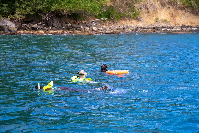 Snorkeling at Pigeon Island - Should you book snorkeling at Pigeon Island?