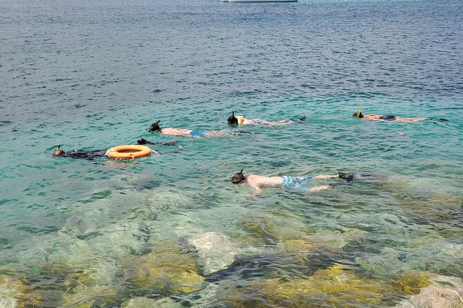 Snorkeling at Pigeon Island - Private guide energy: why Barracuda stands out