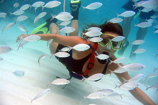 SNUBA Saint Lucia - Key things to know before you go