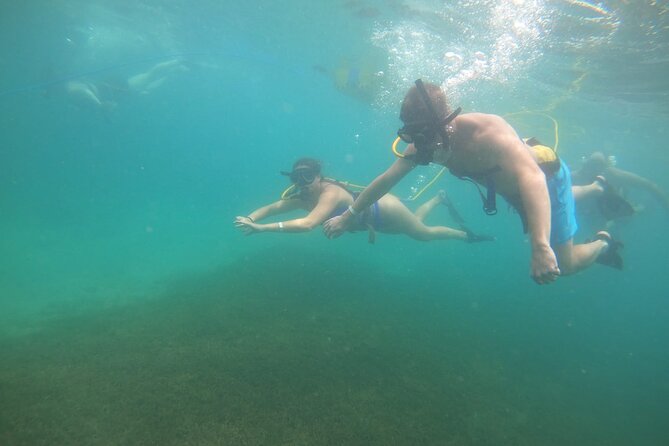 SNUBA Saint Lucia - Underwater time: depth limits, “how far down” choices, and what you might see