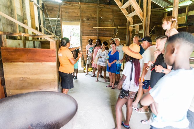 Soufriere Excursion with Rum & Chocolate Tasting - West Coast swim and snorkeling: short window, big payoff