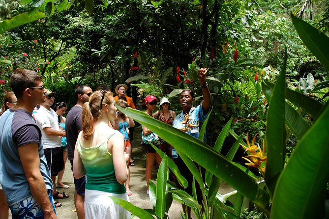 Soufriere Island Delight - Cruising Past Anse-La-Raye, Canaries, and Morne Fortune