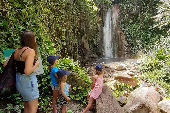 Soufriere Special Day Tour - La Soufriere Volcano, Mud Baths, and Sulphur Springs Timing