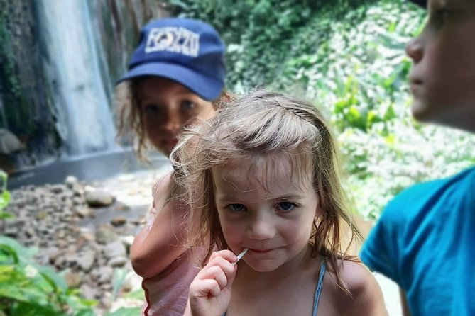 Soufriere Special Day Tour - Price and Value: What You Pay, What You Get