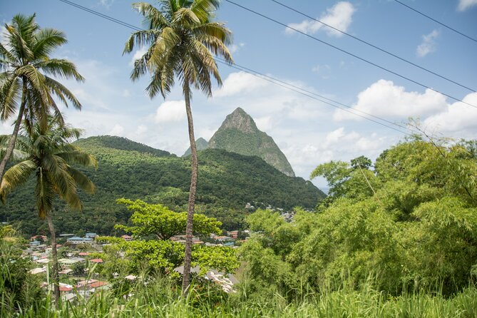 Soufriere Volcano Experience - The sulphur springs mud bath, the drive-in volcano moment