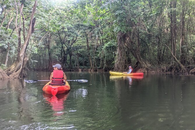 Splash Adventure Jeep and Kayak Safari - Jeep-to-water: how the half-day safari really moves