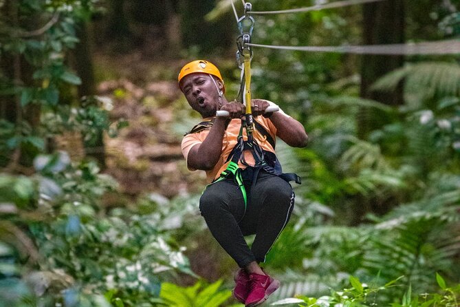 St. Lucia 3 in 1 Combo: Aerial Tram, Rainforest Trail & Zipline - Key highlights you should know before you go