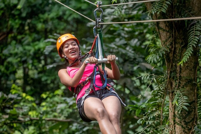 St. Lucia 3 in 1 Combo: Aerial Tram, Rainforest Trail & Zipline - Castries Waterworks Reserve: where the canopy adventure starts