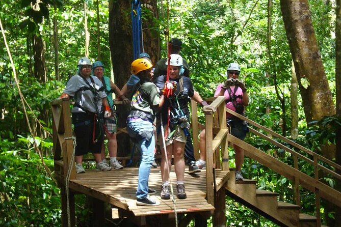 St. Lucia 3 in 1 Combo: Aerial Tram, Rainforest Trail & Zipline - The rainforest trail hike: where you connect the dots