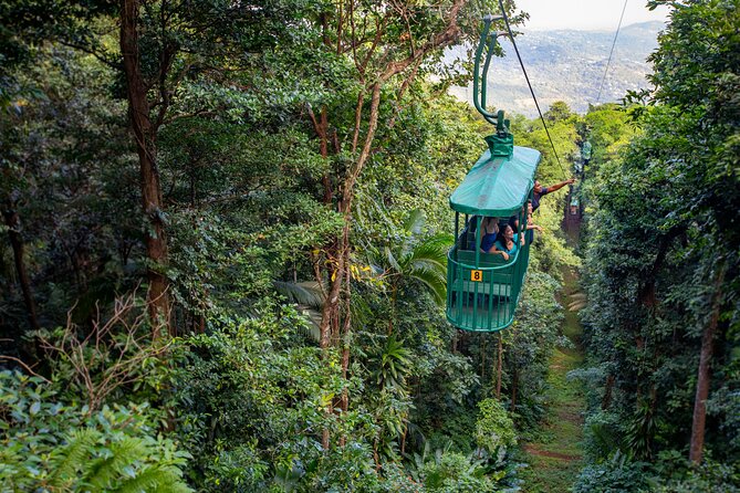 St. Lucia Aerial Tram Tour at Rainforest Adventures - Key things I’d circle before you go