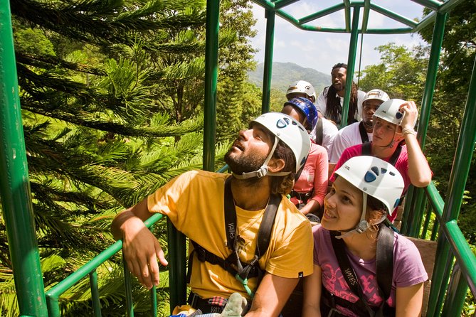 St. Lucia Aerial Tram Tour at Rainforest Adventures - The guide factor: humor, real answers, and names you might hear