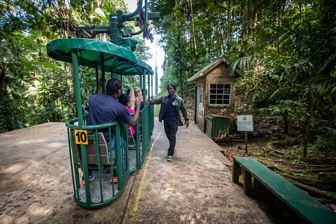 St. Lucia Aerial Tram Tour at Rainforest Adventures - What you might spot: jacquot parrots, agoutis, and canopy wildlife