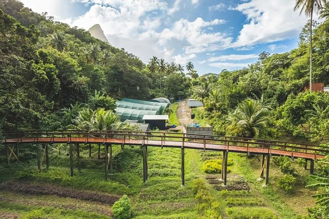 St Lucia Airport Transfer to Hotel Chocolat - From UVF to Hotel Chocolat, minus the airport chaos