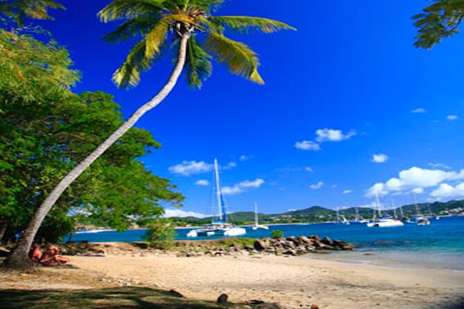 St Lucia Airport VIP Services & Private Transfers - Who This Airport VIP Transfer Fits Best