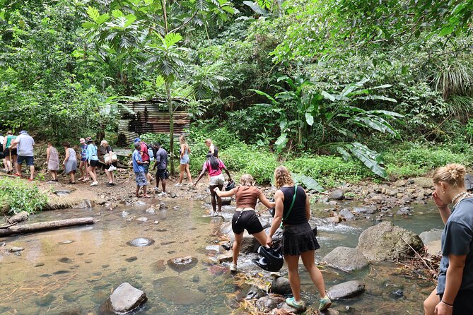 St Lucia ATV Tour : Waterfall, Plantation, Beach and Distillery - Banana plantation visit with Farmer Peter
