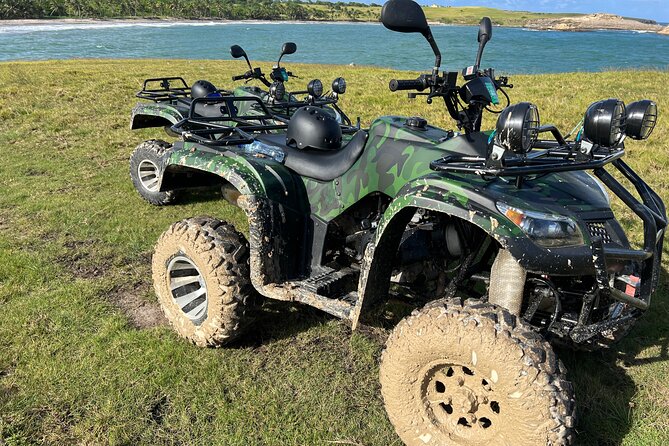 St Lucia ATV Tours (Best on Island) - The Ma Kôté Mangrove Stop, What You’re Actually Visiting