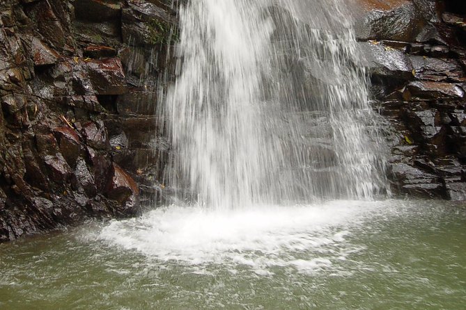 St Lucia Bike and Hike - Snacks, Drinks, and Why This Half-Day Feels Complete