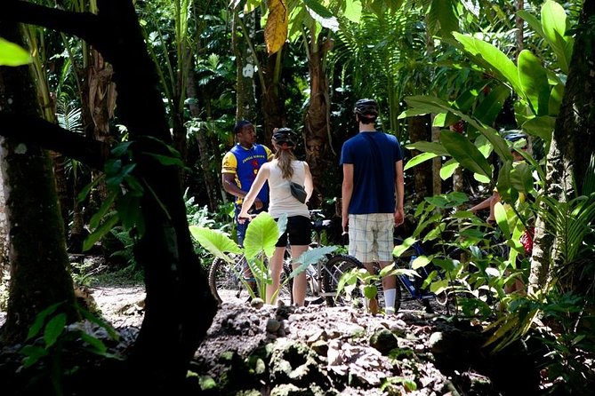 St Lucia Bike and Hike - How Strenuous Is It, Really? Hills, Heat, and Ride Level