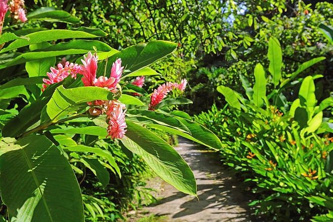 St. Lucia Botanical Gardens and Waterfall Tour Groups only - Key Things to Know Before You Go