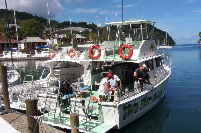 St Lucia Certified Scuba Diving Tour - Price and value: is $116 fair for certified scuba in St. Lucia?