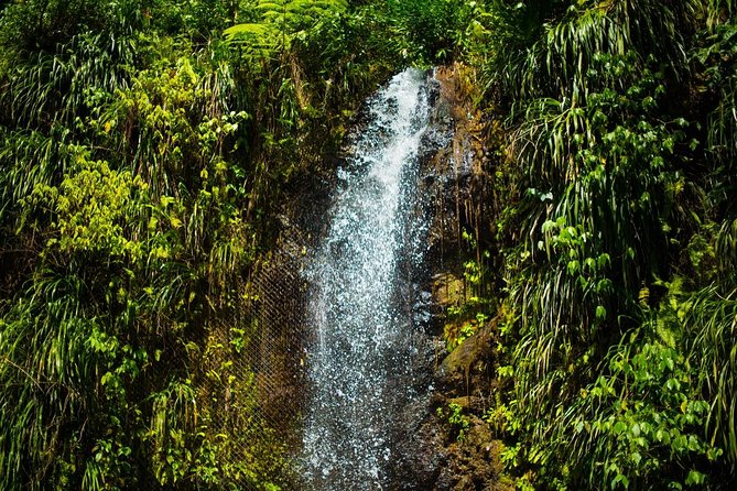 St Lucia Cruise Ship Excursion - Banana plantation sampling and the culture stops that add up
