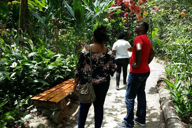 St Lucia Diamond Mineral and Mud Baths Plus Waterfall Adventure - Price and What You Actually Get for $159