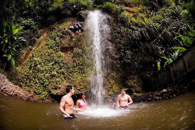 St. Lucia Drive and Snorkel Experience - Price and logistics, in plain terms