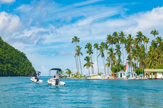 St. Lucia Drive and Snorkel Experience - The snorkeling stop: what to expect under the surface