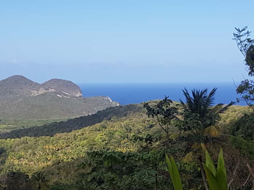 St Lucia: Gros Piton 4-Hour Guided Hike - The Descent and That Post-Hike Beer Moment