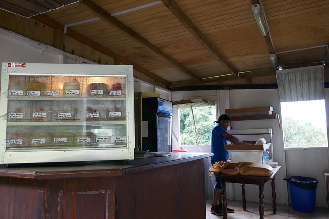 St Lucia Island Excursion Day Tour - Pace, Comfort, and Group Size: The Real Day-to-Day Experience